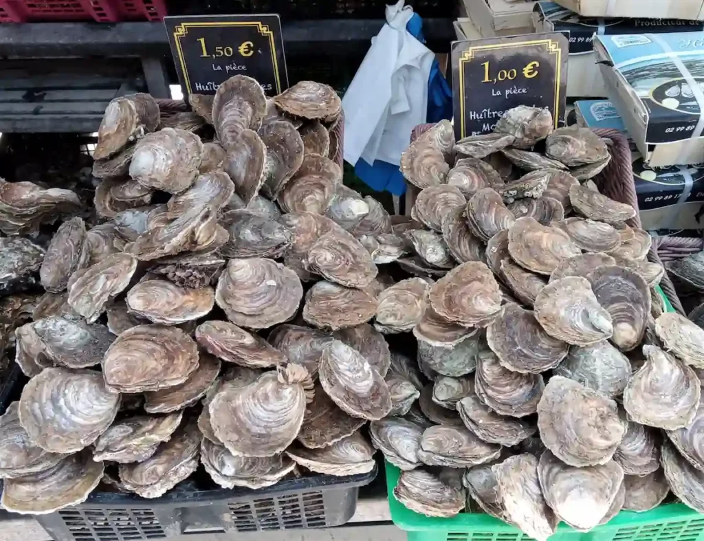 カンカルの市場の売店で売られる平牡蠣 Huitres Plates。日本原産の真牡蠣とは形状が異なる