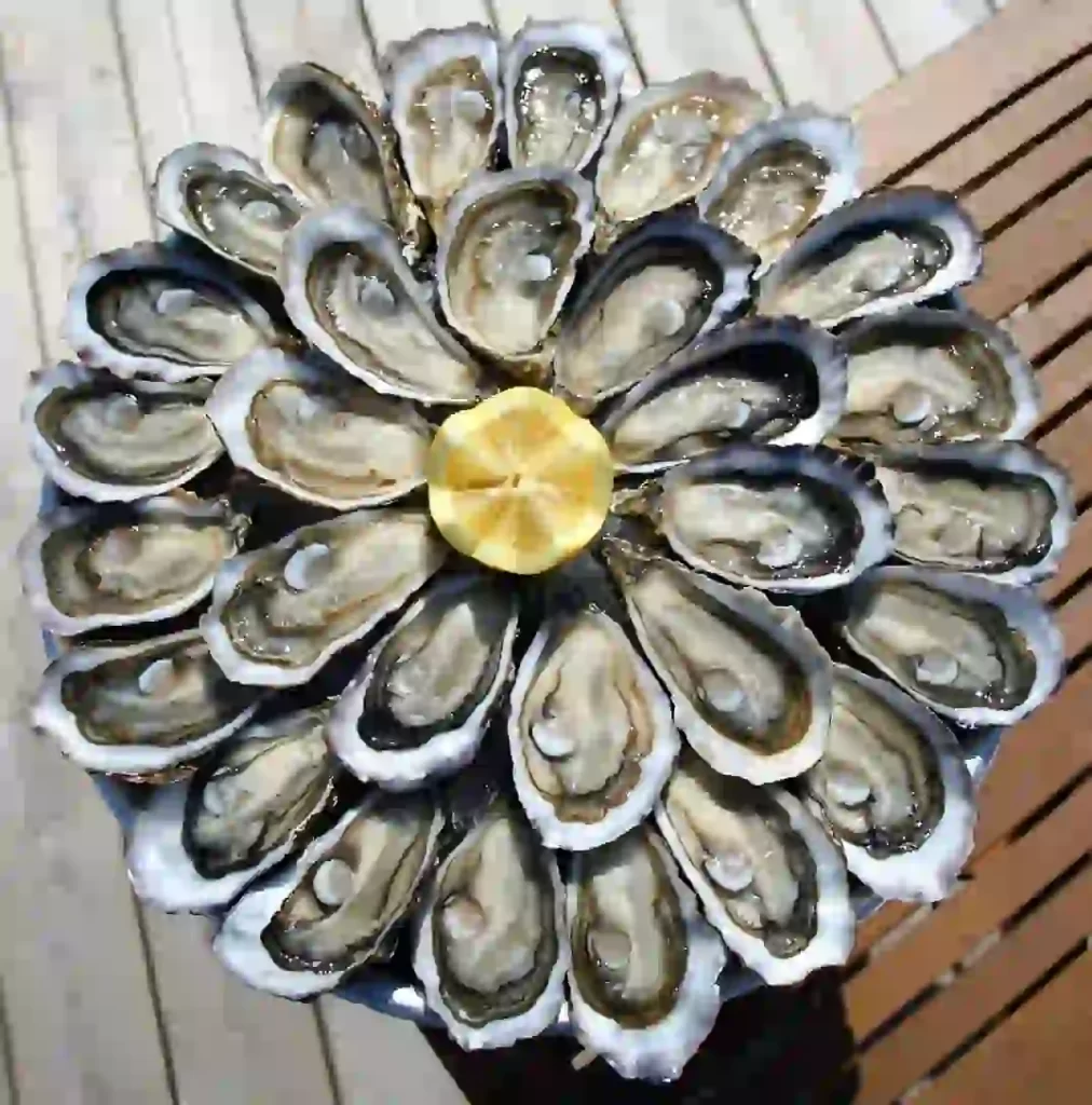 円形に並べられた多数のフランスのカキ 牡蠣とレモン