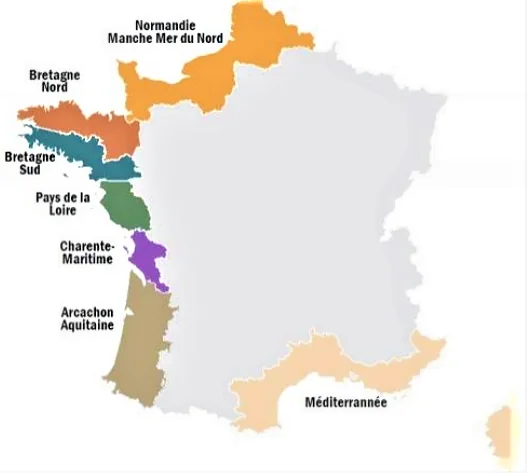 フランス牡蠣 カキの産地地図