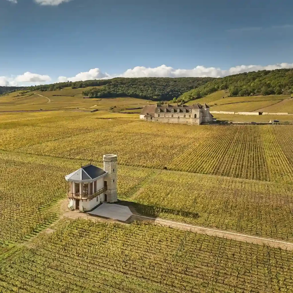 ラ フォリー ド ヴージョ La Folie de Vougeot がグランクリュ、クロドヴージョのブドウ畑の中にある