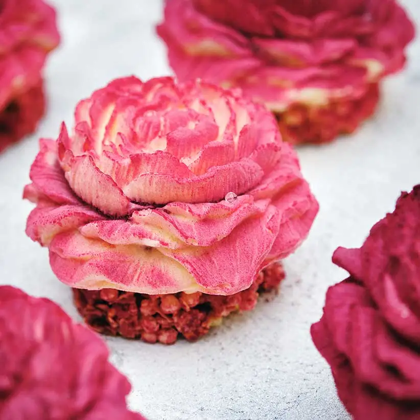 ニーナメタイエの菓子、ピンク色のハイビスカスをイメージした洋ナシの花の菓子 La Fleur poire hibiscus